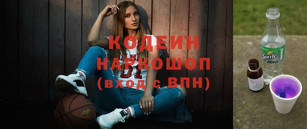 spice Богородск