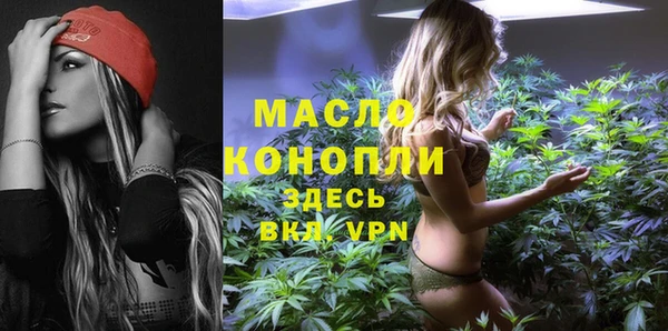 spice Богородск