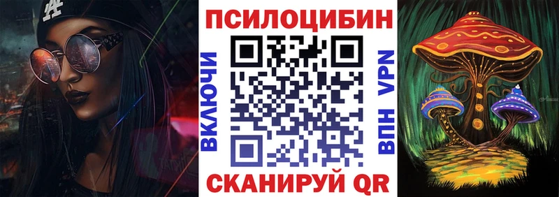 как найти закладки  Буй  Галлюциногенные грибы MAGIC MUSHROOMS 