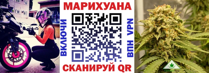 Шишки марихуана SATIVA & INDICA  Буй 